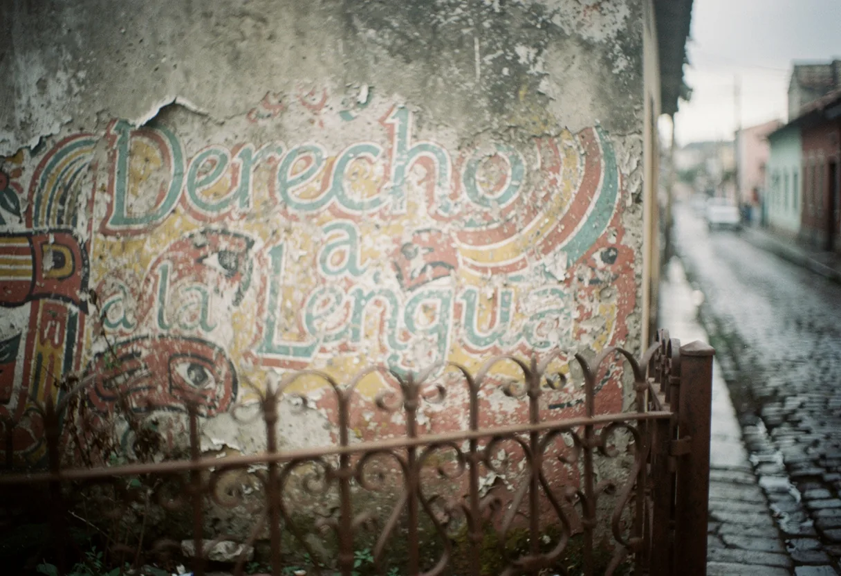 Linguistic Policies, Sovereignty, and Indigenous Rights